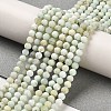 Natural Green Opal Beads Strands G-Z035-A02-02A-2