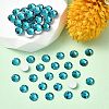 Preciosa® MAXIMA Crystal No Hotfix Flatback Stones Y-PRC-NSS10-60230-2