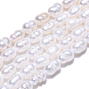 Natural Cultured Freshwater Pearl Beads Strands LS-PEAR-N012-03J-4