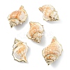 5Pcs Natural Sea Shell Big Pendants with Golden Brass Edge BSHE-YW0001-16-1
