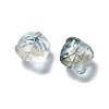 Baking Paint Transparent Glass Beads GLAA-C035-01A-2