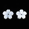 Natural White Shell Beads SSHEL-S260-057-2