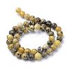 Natural Yellow Turquoise(Jasper) Beads Strands G-R345-6mm-44-2
