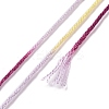 10 Skeins 6-Ply Polyester Embroidery Floss OCOR-K006-A76-3