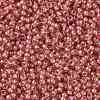 TOHO Round Seed Beads X-SEED-TR08-0960-2
