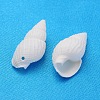 Natural Trumpet Shell Beads X-BSHE-S061-2