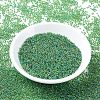 MIYUKI Round Rocailles Beads X-SEED-G007-RR0341-2