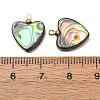 Natural Abalone Shell Pendants SH-CJC0AC7-01F-G-2