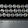 Natural Quartz Crystal Beads Strands G-Q010-A27-01-6