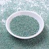 MIYUKI Round Rocailles Beads X-SEED-G007-RR0277-2