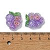 Fruit Transparent Epoxy Resin Decoden Cabochons CRES-I030-23E-3
