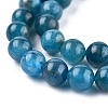 Natural Apatite Beads Strands G-R446-6mm-11-3