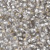 Silver Lined Glass Seed Beads SEED-T007-18A-02-3