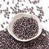 Transparent Inside Colours Glass Seed Beads SEED-H002-A-C209-2