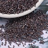 MIYUKI Delica Beads SEED-X0054-DB1706-1