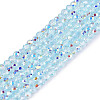 Transparent Glass Beads Strands EGLA-N028-01A-A06-1