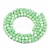 Natural Freshwater Shell Beads Strands X-SHEL-N003-24-B03-2