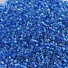MIYUKI Delica Beads SEED-J020-DB0177-3
