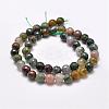 Natural Indian Agate Beads Strands G-F349-02-10mm-2