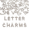 2 Sets Alloy Rhinestone Charms ENAM-TA0008-99P-1