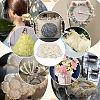 5 Yards Satin Ribbons SRIB-FG0001-32A-5