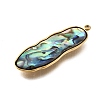 304 Stainless Steel Pave Natural Paua Shell Pendants STAS-Z125-01C-G-2