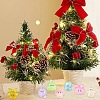 14Pcs 7 Styles Christmas Theme Magic World Luminous Resin Display Decoration FIND-YW0005-81-6