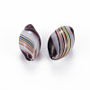 Transparent Handmade Blown Glass Globe Beads GLAA-T012-10-2
