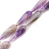 Natural Amethyst Beads Strands G-I328-09-1