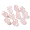 Natural Rose Quartz Beads G-G109-01F-1