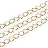 Handmade 304 Stainless Steel Twisted Chain/Curb Chain STAS-P204-02G-1