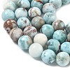 Natural Larimar Beads Strands G-C264-A01-12mm-4