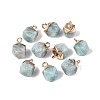 Natural Amazonite Pendants G-N359-18G-18-1