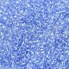 Transparent Colours Glass Round Seed Beads SEED-B001-06A-08-3