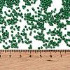 Baking Paint Glass Seed Beads SEED-S042-05B-66-4