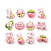 Cute Opaque Resin Decoden Cabochons RESI-S04-01-1