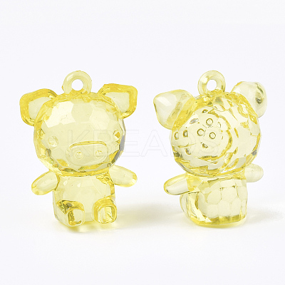 Transparent Acrylic Pendants TACR-S133-118-1