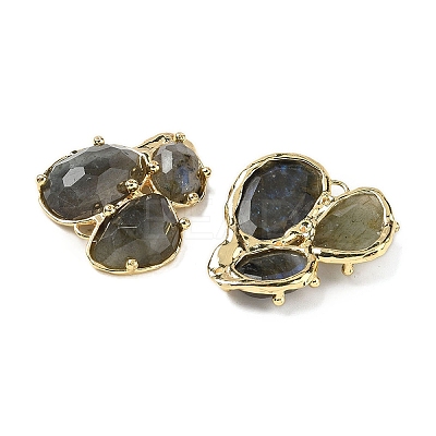 Natural Labradorite Links connectors G-E526-28F-1