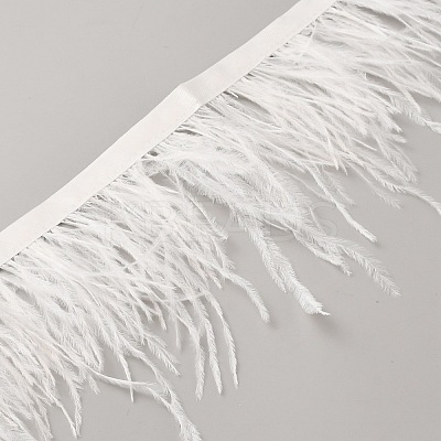 Fashion Ostrich Feather Trimming DIY-WH20012-08B-1
