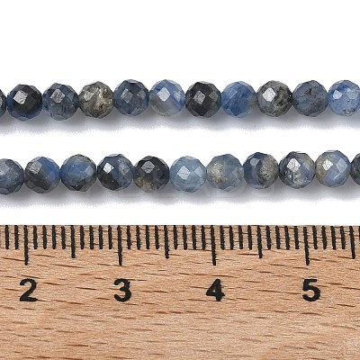 Natural Kyanite/Cyanite/Disthene Beads Strands G-L651-C02-4mm-1