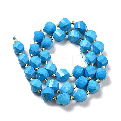 Dyed Natural Howlite Beads Strands G-G023-B01-01A-1