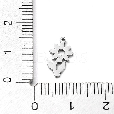 Non-Tarnish 304 Stainless Steel Charms STAS-D036-02P-1