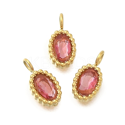 304 Stainless Steel Micro Pave Cubic Zirconia Charms STAS-U027-02G-05-1