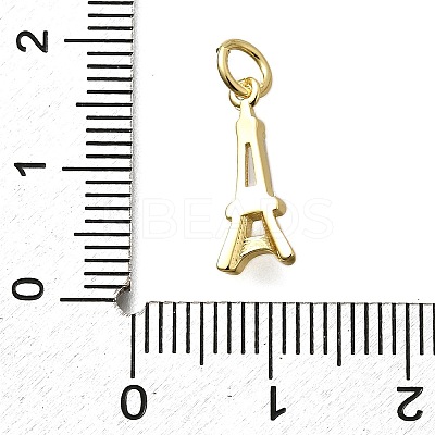 Brass Micro Pave Cubic Zirconia Charms X-KK-P295-45G-1