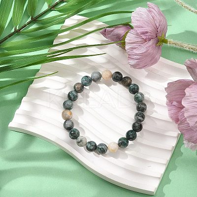 Natural Dioptase Round Beaded Stretch Bracelets BJEW-JB11195-01-1