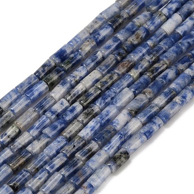Natural Blue Spot Jasper Beads Strands G-P600-B05-01-1