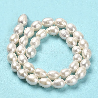 Natural Cultured Freshwater Pearl Beads Strands PEAR-E016-091-1