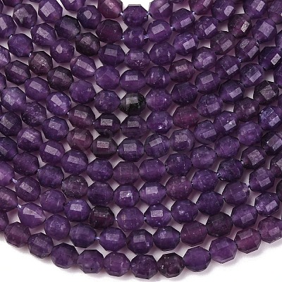 Natural Lepidolite/Purple Mica Stone Beads Strands G-A260-A04-01-1