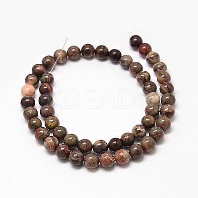 Natural Rainforest Agate Round Bead Strands X-G-P075-45-6mm-1