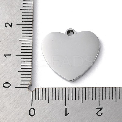 Non-Tarnish 304 Stainless Steel Pendants LS-STAS-D025-01P-02-1